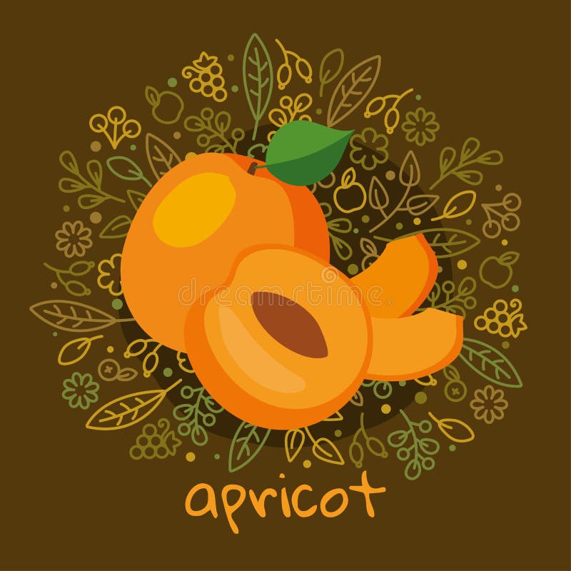 Vector illustration of ripe apricot fruit on pattern abstract background with leaves, fruits and berry for organic healthy food packaging, natural cosmetics, vegetarian, vegan products. apricot label. Vector illustration of ripe apricot fruit on pattern abstract background with leaves, fruits and berry for organic healthy food packaging, natural cosmetics, vegetarian, vegan products. apricot label.