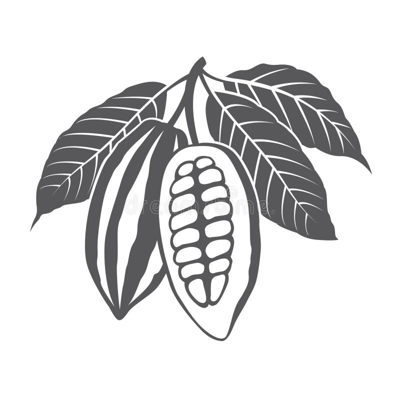 Monochrome cocoa beans and leaves illustration. Monochrome cocoa beans and leaves illustration