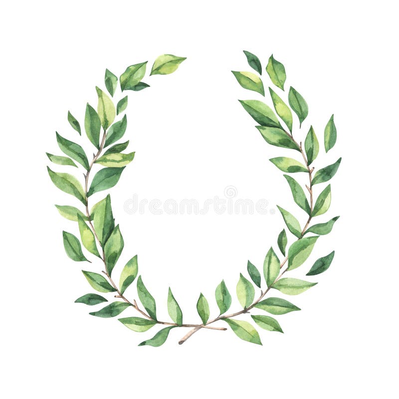 απεικόνιση χρωματογραφίας. απόσπασμα στεφανιού δάφνης. ανοιξιάτικο στεφάνι με νωπά πράσινα φύλλα και κλαδιά. ιδανικό διανυσματική απεικόνιση