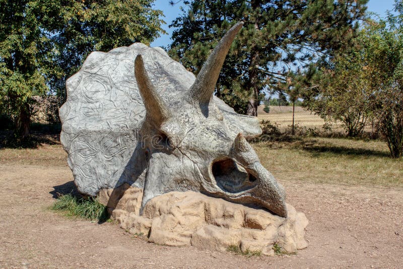 Απολιθωμένος σκελετός Triceratops πέρα από το φυσικό υπόβαθρο στοκ φωτογραφία με δικαίωμα ελεύθερης χρήσης Απολιθωμένος σκελετός Triceratops πέρα από το φυσικό υπόβαθρο στοκ φωτογραφία με δικαίωμα ελεύθερης χρήσης
