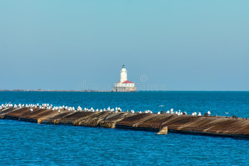 Αποβάθρα με Seagulls στη λίμνη Μίτσιγκαν στο Σικάγο με έναν φάρο μακριά μακριά στην απόσταση στοκ εικόνες με δικαίωμα ελεύθερης χρήσης Αποβάθρα με Seagulls στη λίμνη Μίτσιγκαν στο Σικάγο με έναν φάρο μακριά μακριά στην απόσταση στοκ εικόνες με δικαίωμα ελεύθερης χρήσης