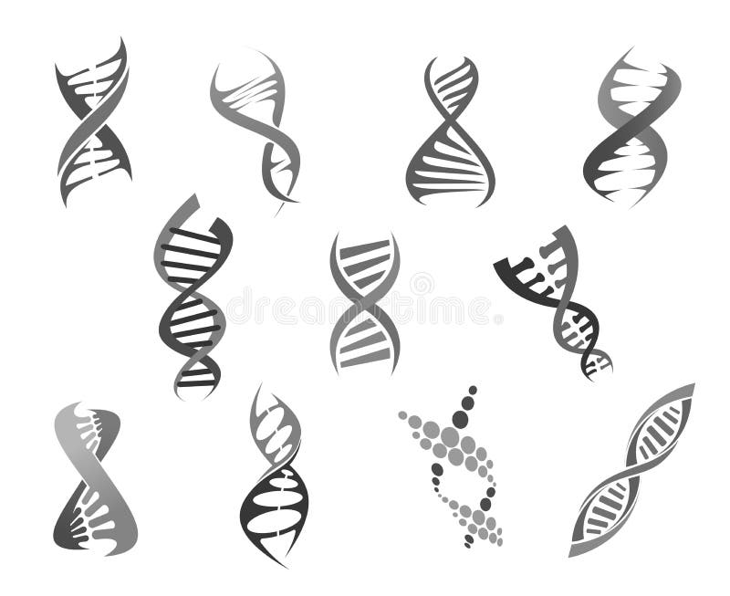 Απομονωμένα διάνυσμα εικονίδια ελίκων DNA γονιδίων καθορισμένα διανυσματική απεικόνιση Απομονωμένα διάνυσμα εικονίδια ελίκων DNA γονιδίων καθορισμένα διανυσματική απεικόνιση