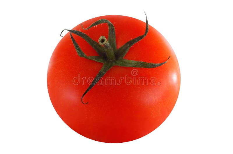 1 red tomato isolated on white and clipping path included. 1 red tomato isolated on white and clipping path included