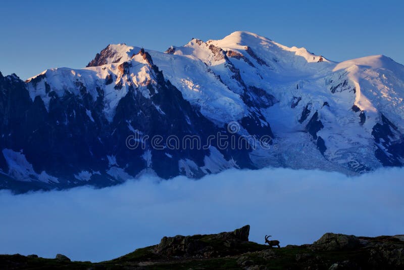Απόψεις του παγετώνα της Mont Blanc από τη λάκκα Blanc Δημοφιλές τουριστικό αξιοθέατο Γραφική και πανέμορφη σκηνή βουνών στοκ εικόνες με δικαίωμα ελεύθερης χρήσης