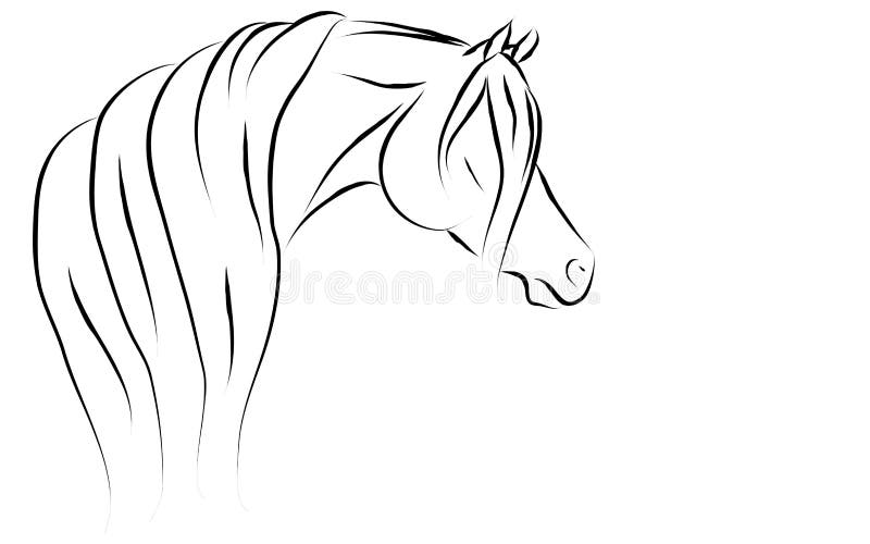 Beautiful stylized Arabian horse illustration. Beautiful stylized Arabian horse illustration.