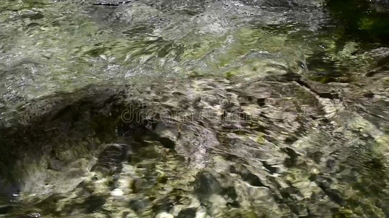 αργή κίνηση νερού που ρέει μέσα από τους βράχους. φιλμ μικρού μήκους