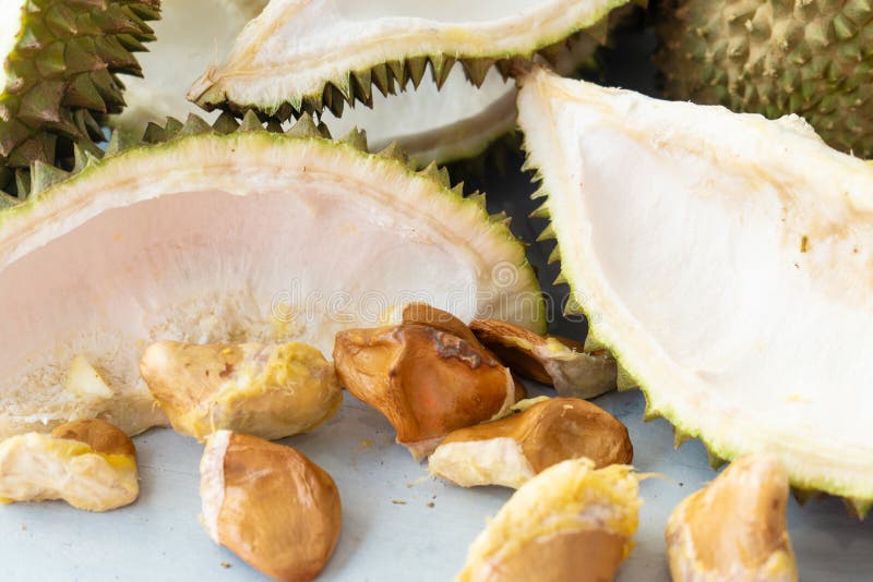 Αριστερό πέρα από durian στοκ φωτογραφία με δικαίωμα ελεύθερης χρήσης Αριστερό πέρα από durian στοκ φωτογραφία με δικαίωμα ελεύθερης χρήσης