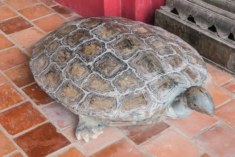 Ancient Turtle Carving Stone Statue Aged Over 100 Years, Important Animal in Buddhism. Ancient Turtle Carving Stone Statue Aged Over 100 Years, Important Animal in Buddhism.