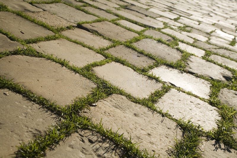 Ancient road with green grass. Ancient road with green grass