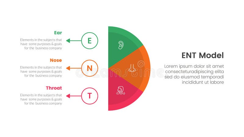 ent health treatment disease infographic 3 point stage template with vertical half circle with outline circle and arrow for slide presentation vector. ent health treatment disease infographic 3 point stage template with vertical half circle with outline circle and arrow for slide presentation vector