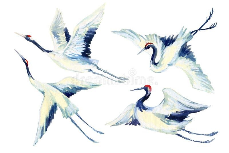 Ασιατικό σύνολο πουλιών γερανών Watercolor