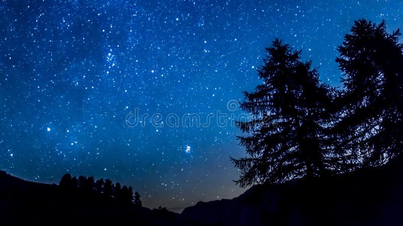 Αστέρια νυχτερινού ουρανού Timelapse Βουνό και σκιαγραφία δέντρων