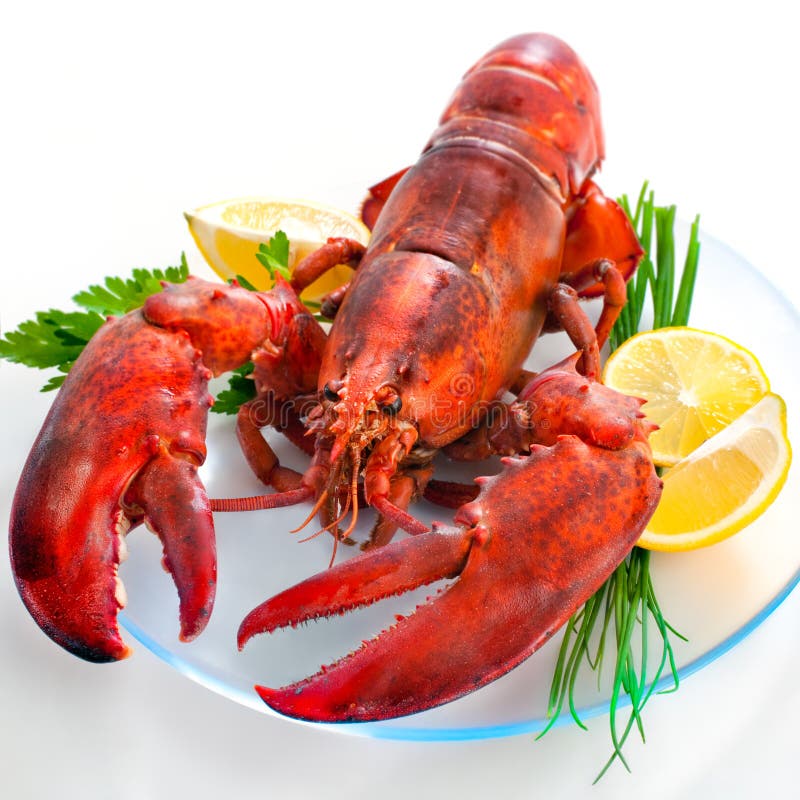 Lobster with parsley and lemon slices on dish. Lobster with parsley and lemon slices on dish