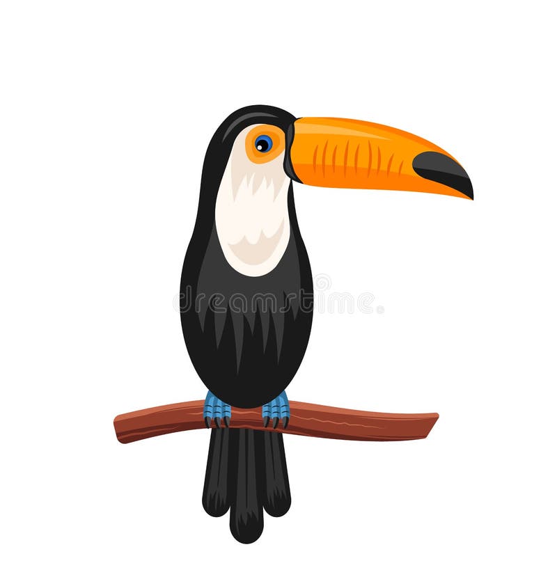 Αστεία συνεδρίαση Toucan στον κλάδο, εξωτικό πουλί απεικόνιση αποθεμάτων