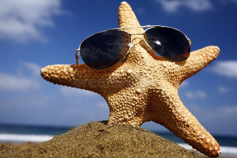 Starfish on a sunny beach with sunglasses. Starfish on a sunny beach with sunglasses