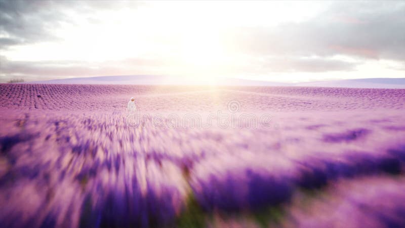 Αστροναύτης με τις πεταλούδες lavender στον τομέα Έννοια του μέλλοντος ρεαλιστική 4k ζωτικότητα ραδιοφωνικής μετάδοσης απεικόνιση αποθεμάτων