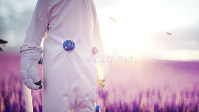 Αστροναύτης με τις πεταλούδες lavender στον τομέα Έννοια του μέλλοντος ρεαλιστική 4k ζωτικότητα ραδιοφωνικής μετάδοσης διανυσματική απεικόνιση