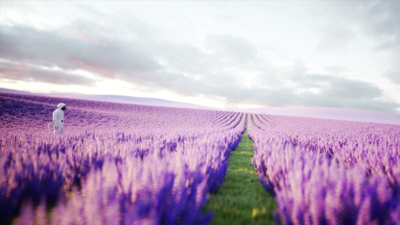 Αστροναύτης με τις πεταλούδες lavender στον τομέα Έννοια του μέλλοντος ρεαλιστική 4k ζωτικότητα ραδιοφωνικής μετάδοσης απεικόνιση αποθεμάτων