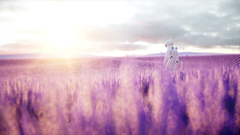 Αστροναύτης με τις πεταλούδες lavender στον τομέα Έννοια του μέλλοντος ρεαλιστική 4k ζωτικότητα ραδιοφωνικής μετάδοσης ελεύθερη απεικόνιση δικαιώματος