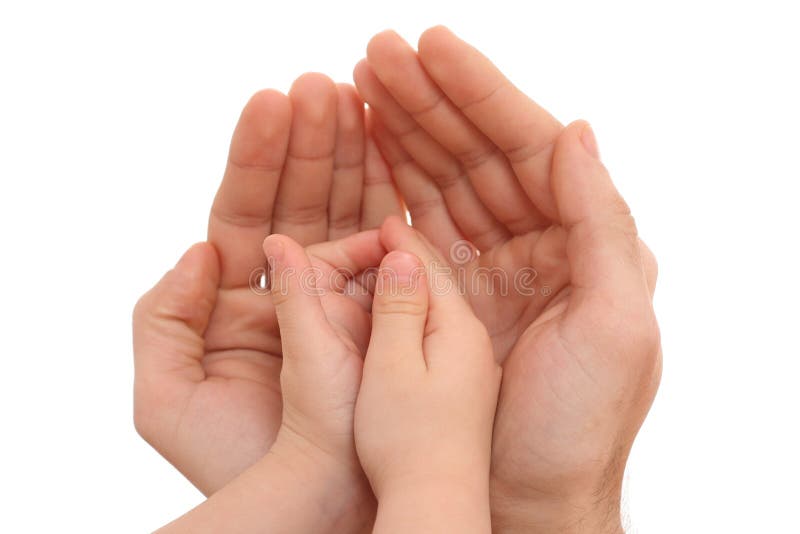 Human hands isolated on white - parenting concept. Human hands isolated on white - parenting concept