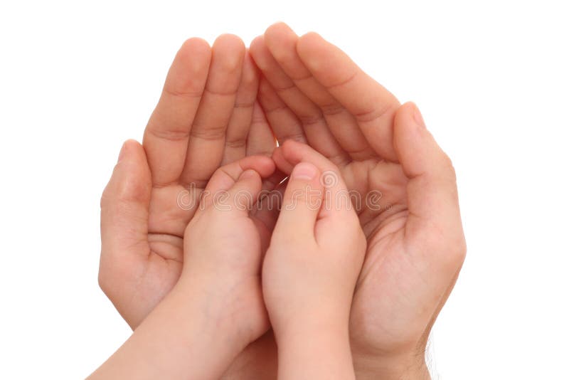 Human hands isolated on white - parenting concept. Human hands isolated on white - parenting concept