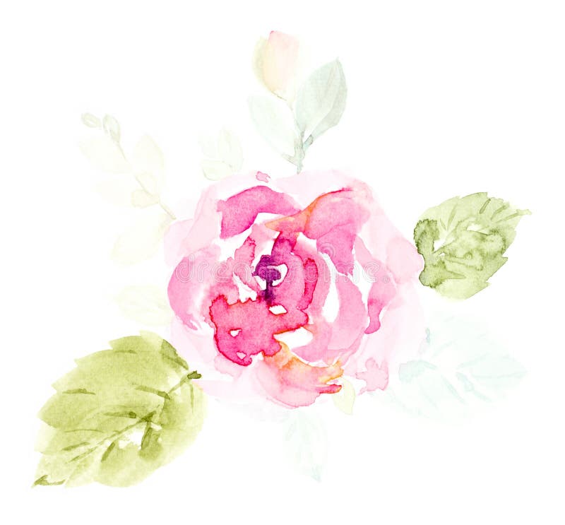 Αυξήθηκε ρόδινο χαριτωμένο χέρι watercolor λουλουδιών που χρωματίστηκε σε ένα άσπρο υπόβαθρο απεικόνιση αποθεμάτων Αυξήθηκε ρόδινο χαριτωμένο χέρι watercolor λουλουδιών που χρωματίστηκε σε ένα άσπρο υπόβαθρο απεικόνιση αποθεμάτων