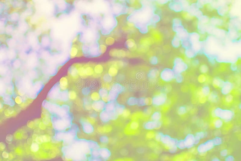 Αφηρημένη φύση bokeh στοκ φωτογραφία