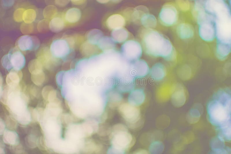 Αφηρημένη φύση bokeh στοκ εικόνα