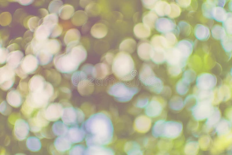 Αφηρημένη φύση bokeh στοκ εικόνες