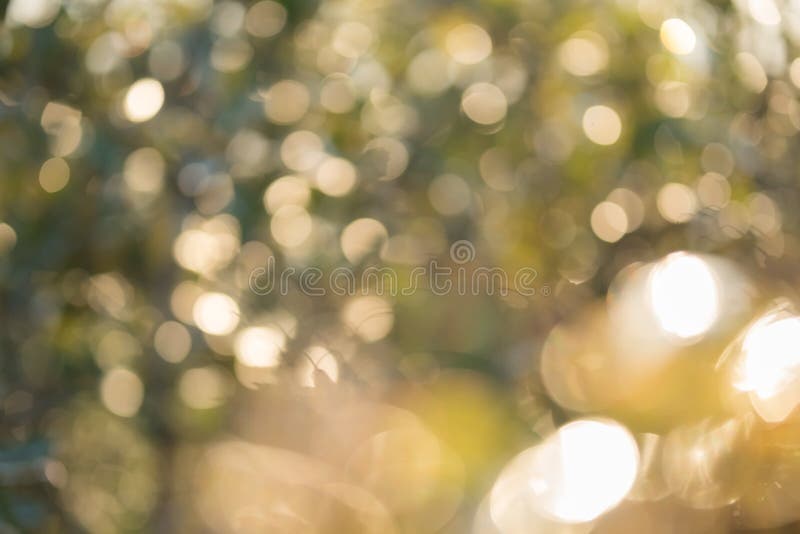 Αφηρημένο φυσικό ελαφρύ υπόβαθρο Defocused στοκ φωτογραφία Αφηρημένο φυσικό ελαφρύ υπόβαθρο Defocused στοκ φωτογραφία