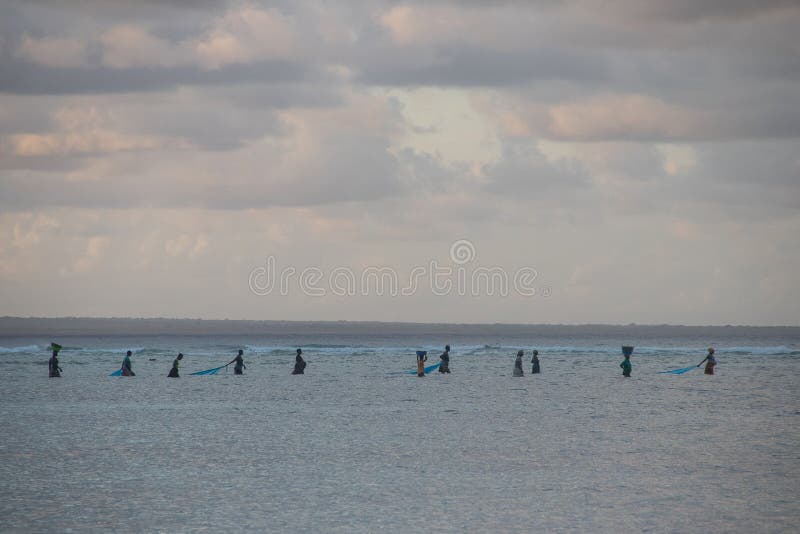 African woman fishing during low tide, traditional way by net for fishing. Harvesting crabs, shells, octopus and other sea food at Indian Ocean. African woman fishing during low tide, traditional way by net for fishing. Harvesting crabs, shells, octopus and other sea food at Indian Ocean