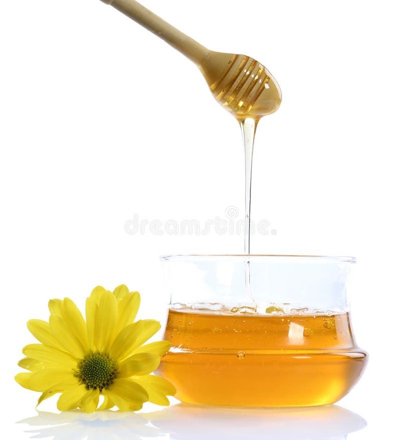 Jar of wild honey with a wooden dripper. Isolated on white background. Jar of wild honey with a wooden dripper. Isolated on white background.