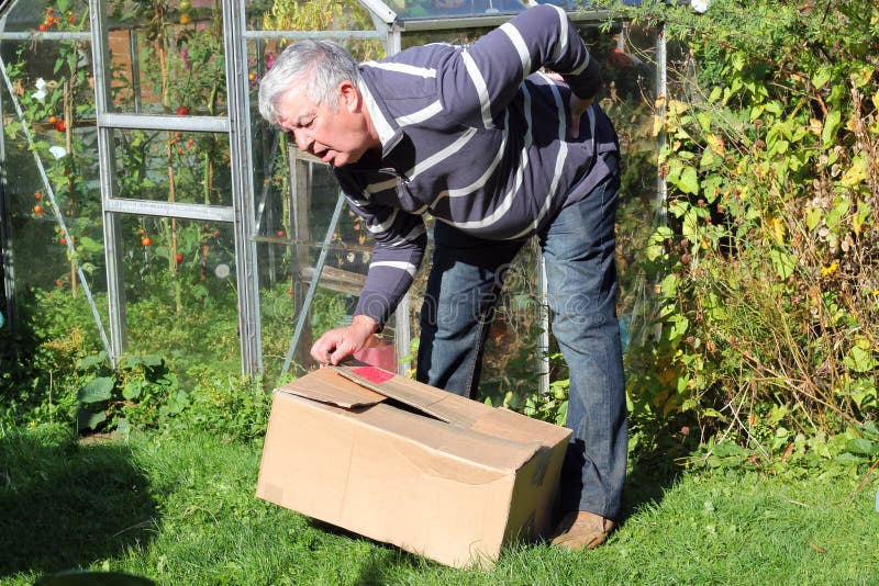 An elderly man lifting a heavy box incorrectly and getting a lot of back pain. An elderly man lifting a heavy box incorrectly and getting a lot of back pain.