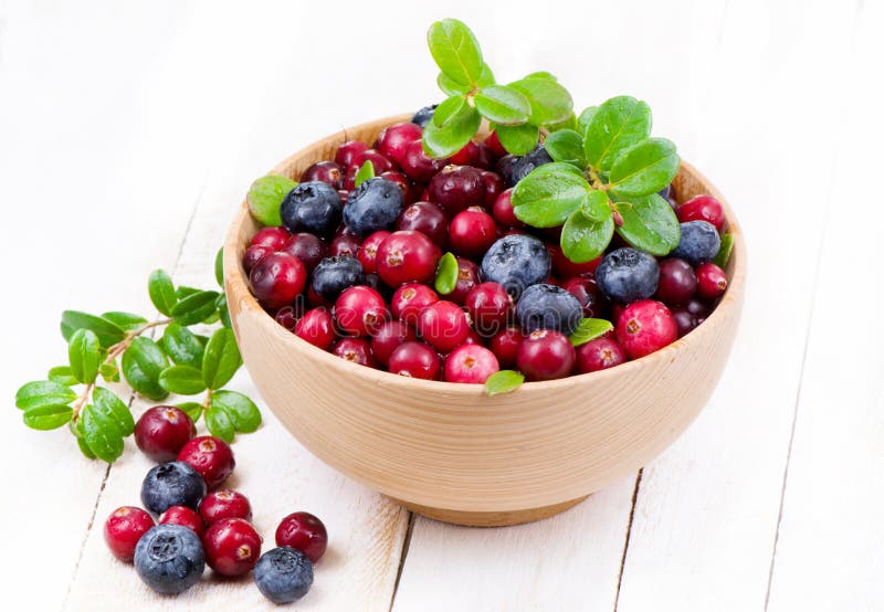 Βακκίνιο και cowberry με τα πράσινα φυλλάδια στοκ εικόνες