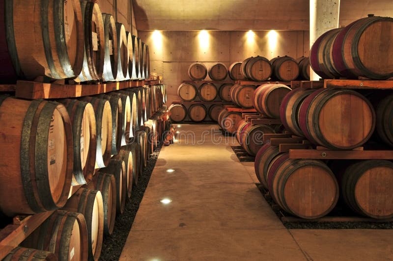 Stacked oak wine barrels in winery cellar. Stacked oak wine barrels in winery cellar