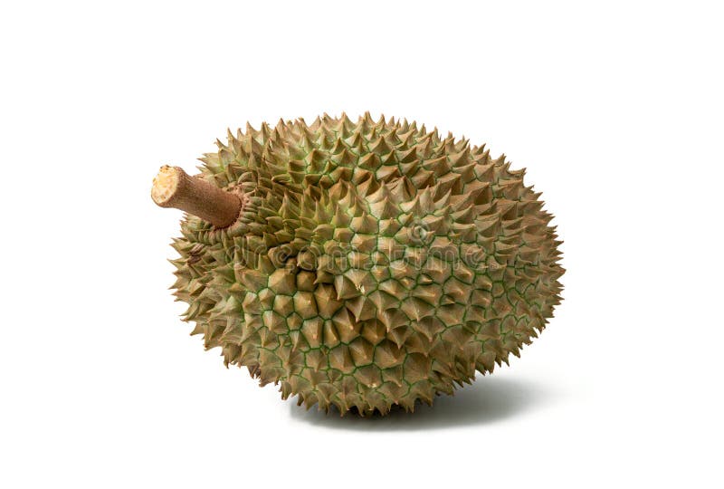 Βασιλιάς Durian του καρπού