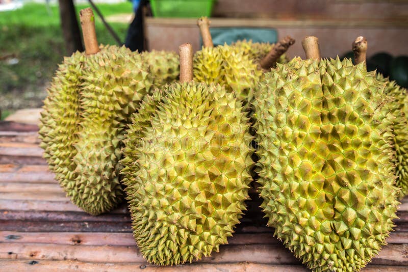 Βασιλιάς Durian των καρπών