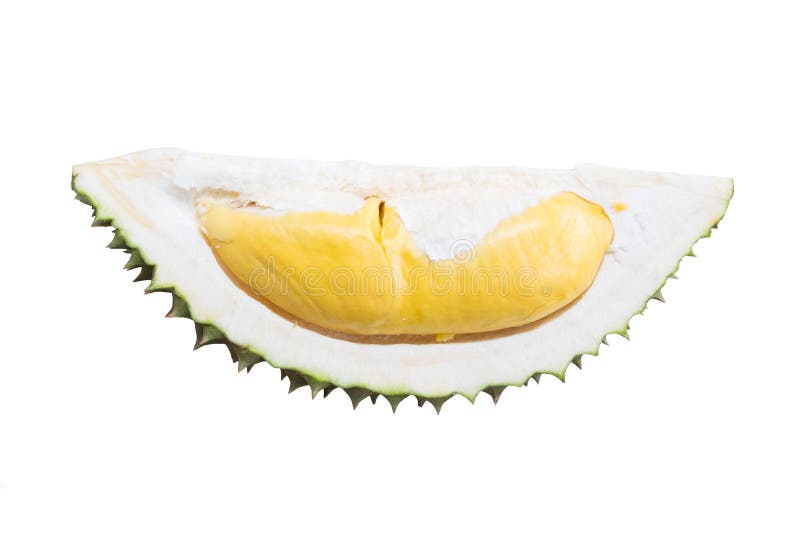 Βασιλιάς Durian των φρούτων που απομονώνεται