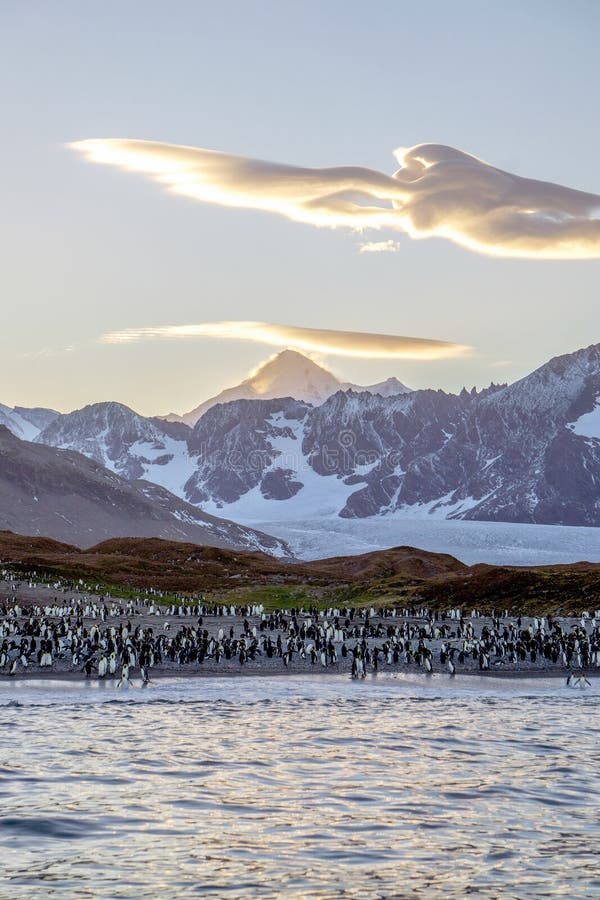 Βασιλιάς Penguins και ένα φακοειδές σύννεφο στη νότια Γεωργία στοκ φωτογραφία Βασιλιάς Penguins και ένα φακοειδές σύννεφο στη νότια Γεωργία στοκ φωτογραφία