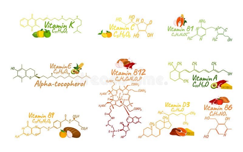 Βιταμίνη σύνθετη με τα τρόφιμα B1, B6, B9, B12, Κ, Α, Ε, ετικέτα Γ και διανυσματική απεικόνιση