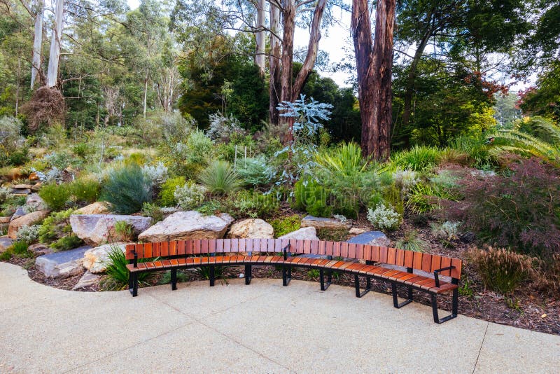 A late autumn afternoon in Dandenong Ranges Botanic Garden at Chelsea Australian Garden as part of the Olinda project in Olinda, Victoria Australia. A late autumn afternoon in Dandenong Ranges Botanic Garden at Chelsea Australian Garden as part of the Olinda project in Olinda, Victoria Australia