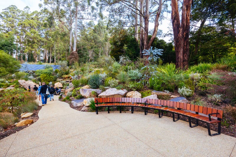 A late autumn afternoon in Dandenong Ranges Botanic Garden at Chelsea Australian Garden as part of the Olinda project in Olinda, Victoria Australia. A late autumn afternoon in Dandenong Ranges Botanic Garden at Chelsea Australian Garden as part of the Olinda project in Olinda, Victoria Australia