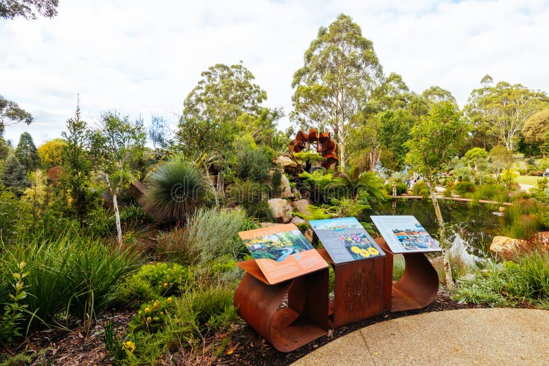 A late autumn afternoon in Dandenong Ranges Botanic Garden at Chelsea Australian Garden as part of the Olinda project in Olinda, Victoria Australia. A late autumn afternoon in Dandenong Ranges Botanic Garden at Chelsea Australian Garden as part of the Olinda project in Olinda, Victoria Australia