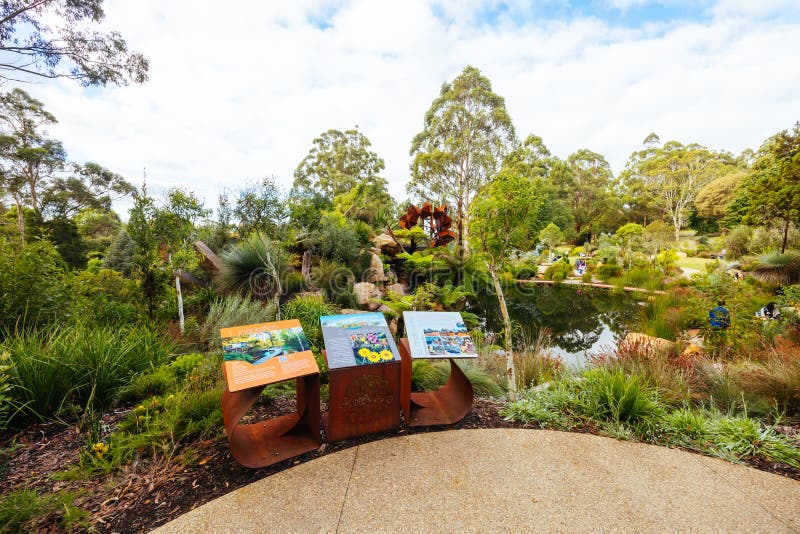 A late autumn afternoon in Dandenong Ranges Botanic Garden at Chelsea Australian Garden as part of the Olinda project in Olinda, Victoria Australia. A late autumn afternoon in Dandenong Ranges Botanic Garden at Chelsea Australian Garden as part of the Olinda project in Olinda, Victoria Australia