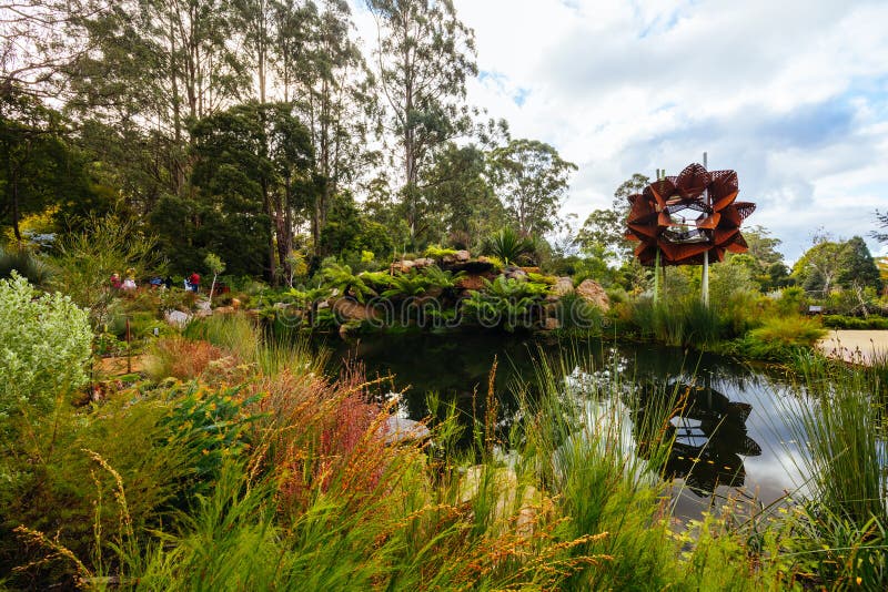 A late autumn afternoon in Dandenong Ranges Botanic Garden at Chelsea Australian Garden as part of the Olinda project in Olinda, Victoria Australia. A late autumn afternoon in Dandenong Ranges Botanic Garden at Chelsea Australian Garden as part of the Olinda project in Olinda, Victoria Australia