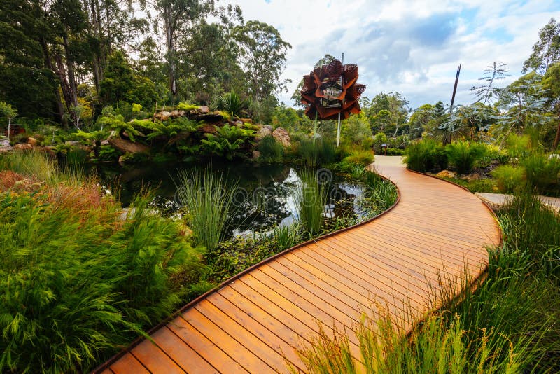 A late autumn afternoon in Dandenong Ranges Botanic Garden at Chelsea Australian Garden as part of the Olinda project in Olinda, Victoria Australia. A late autumn afternoon in Dandenong Ranges Botanic Garden at Chelsea Australian Garden as part of the Olinda project in Olinda, Victoria Australia