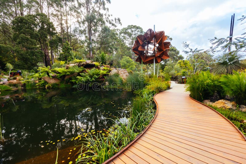 A late autumn afternoon in Dandenong Ranges Botanic Garden at Chelsea Australian Garden as part of the Olinda project in Olinda, Victoria Australia. A late autumn afternoon in Dandenong Ranges Botanic Garden at Chelsea Australian Garden as part of the Olinda project in Olinda, Victoria Australia