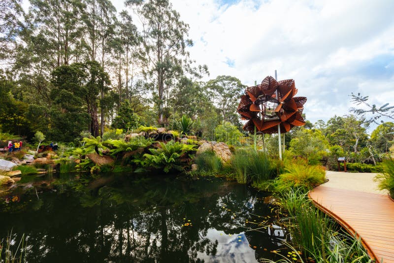 A late autumn afternoon in Dandenong Ranges Botanic Garden at Chelsea Australian Garden as part of the Olinda project in Olinda, Victoria Australia. A late autumn afternoon in Dandenong Ranges Botanic Garden at Chelsea Australian Garden as part of the Olinda project in Olinda, Victoria Australia