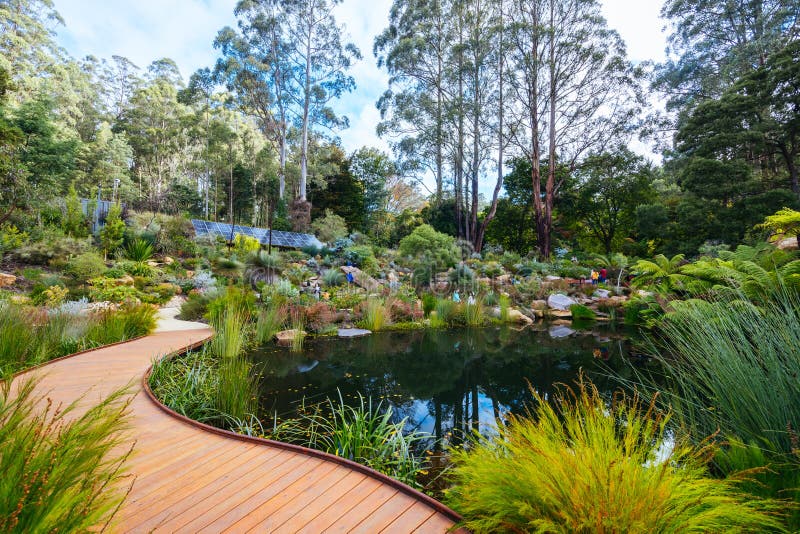 A late autumn afternoon in Dandenong Ranges Botanic Garden at Chelsea Australian Garden as part of the Olinda project in Olinda, Victoria Australia. A late autumn afternoon in Dandenong Ranges Botanic Garden at Chelsea Australian Garden as part of the Olinda project in Olinda, Victoria Australia