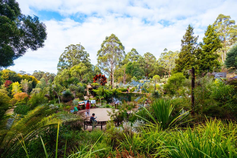 A late autumn afternoon in Dandenong Ranges Botanic Garden at Chelsea Australian Garden as part of the Olinda project in Olinda, Victoria Australia. A late autumn afternoon in Dandenong Ranges Botanic Garden at Chelsea Australian Garden as part of the Olinda project in Olinda, Victoria Australia